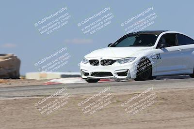 media/Oct-04-2025-OnGrid (Sat) [[44bd565ffa]]/Green Group/Grapevine/